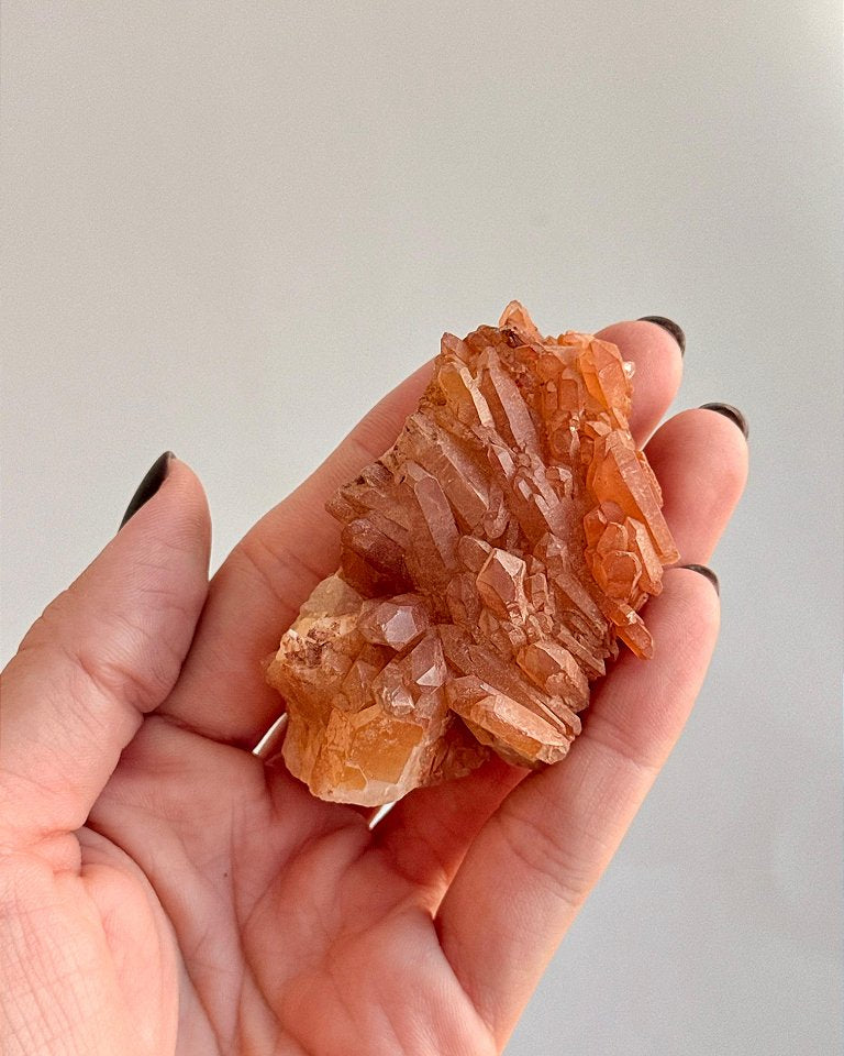 Drusa de Quartzo Tangerina - Novidade, Travas e Medos, Saúde Sexual, Insegurança e Potencial de Ação