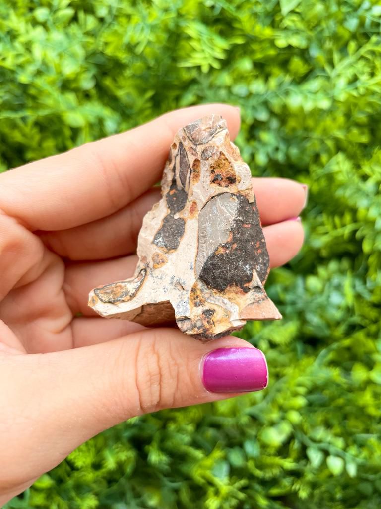 Leopardita Bruta - Pedra Xamã - Superação, Culpa e Perdão
