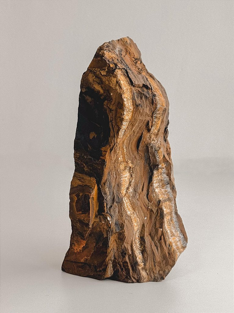 Olho de Tigre - Base Serrada GRANDE 20cm - Contra Inveja e Olhado; Autoconfiança; Coragem e Determinação