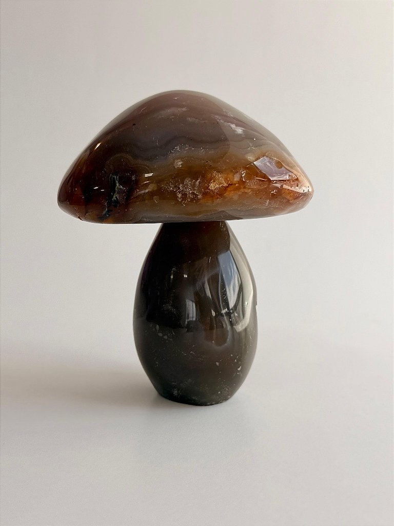 Cogumelo de Ágata - CGAGA05 402g - Pedra da Sorte, Coragem e Autoconfiança