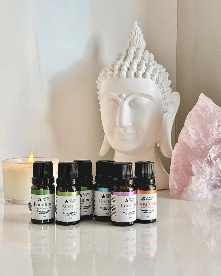Kit Completo de Óleos Essenciais Sagrada Magia - Alecrim, Hortelã, Eucalipto, Melaleuca, Ylang Ylang e Lavanda