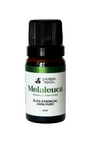 Óleo Essencial de Melaleuca (Tea Tree) - Pele e Cabelo Saudáveis, Antisséptico e Anti-inflamatório
