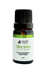 Óleo Essencial de Alecrim - Alegria, Memória e Bem-estar