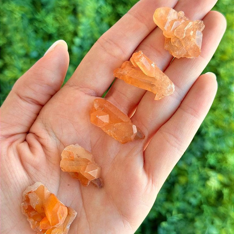 Quartzo Tangerina Mini - Novidade, Travas e Medos, Saúde Sexual, Insegurança e Potencial de Ação