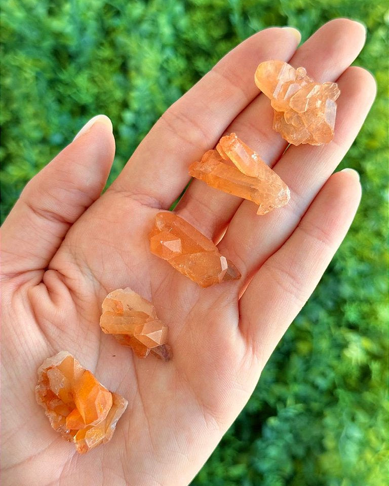 Quartzo Tangerina Mini - Novidade, Travas e Medos, Saúde Sexual, Insegurança e Potencial de Ação