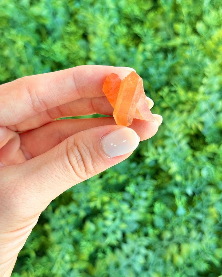 Quartzo Tangerina Mini - Novidade, Travas e Medos, Saúde Sexual, Insegurança e Potencial de Ação