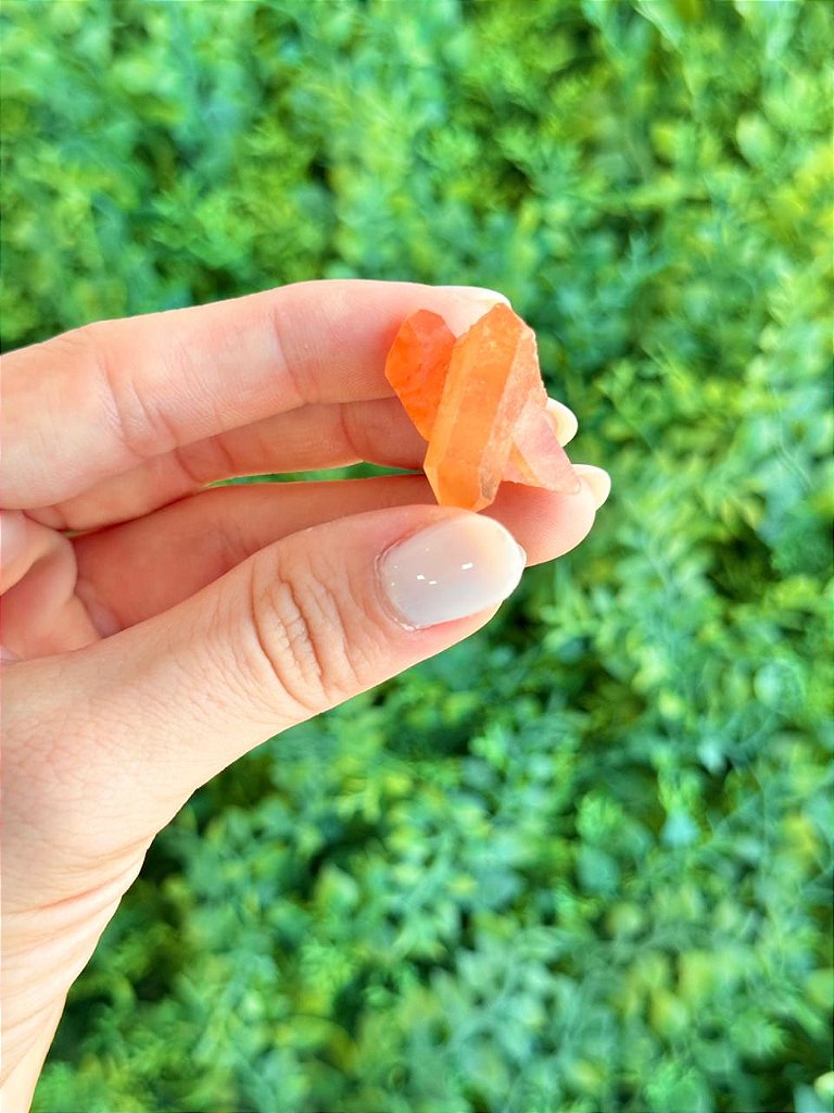 Quartzo Tangerina Mini - Novidade, Travas e Medos, Saúde Sexual, Insegurança e Potencial de Ação