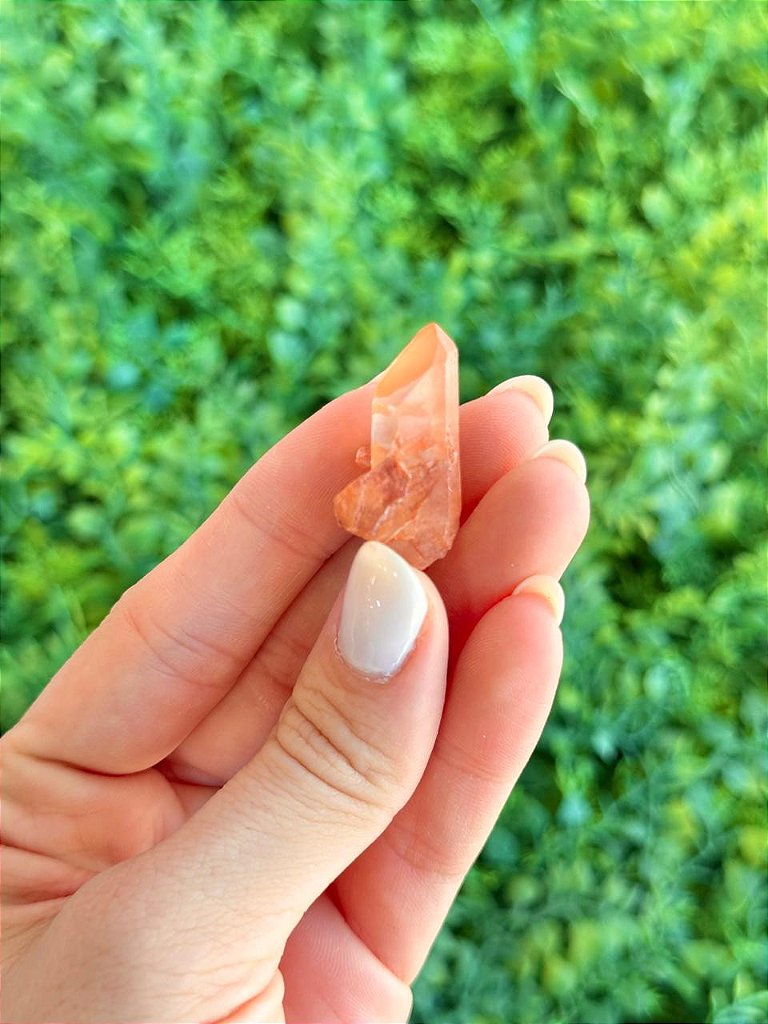 Quartzo Tangerina Mini - Novidade, Travas e Medos, Saúde Sexual, Insegurança e Potencial de Ação